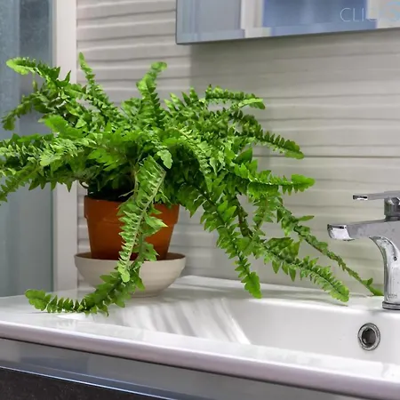 Tonnare Direttamente Sul Mare