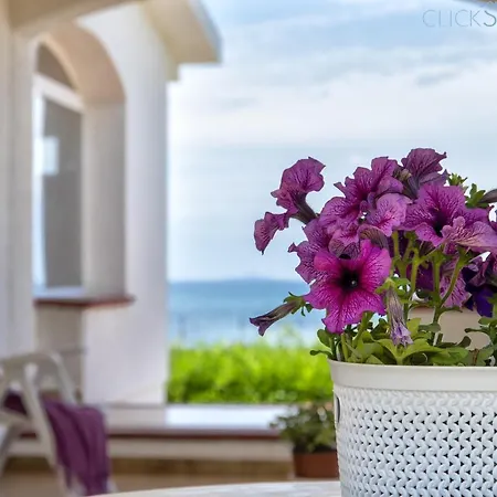 Tonnare Direttamente Sul Mare Villa